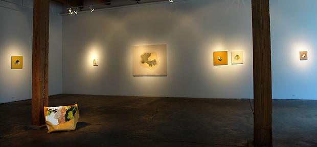 Brandon Anschultz
Installation shot Image