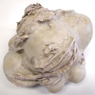 Noelle Allen
These Engulfing Folds, 2011
plaster, clay, epoxy, oil paint, and wax 
dimensions vary Image