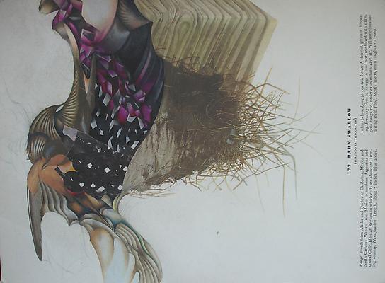 Megan Greene
173, 2011
mixed media on paper
9 x 12 inches Image