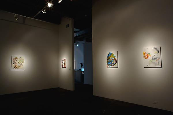 Nicole Mauser
Installation shot Image
