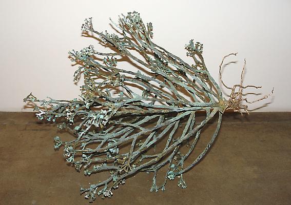 Carolyn Ottmers
Walter, 2010
cast bronze
36 x 36 x 36 inches Image