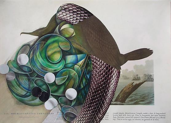 Megan Greene
Audubon Drawing Series
252, 2010
mixed media on paper
9 x 12 1/4 inches Image