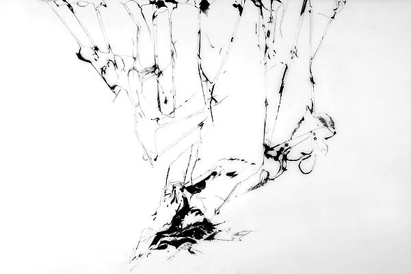 Noelle Allen
Lattice and Tension (02)
2008
graphite on mylar
42"x28 Image