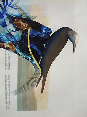 Megan Greene
Audubon Drawing Series
Untitled (blue with single bird), 2010
mixed media on paper
12 1/4 x 9 inches Image