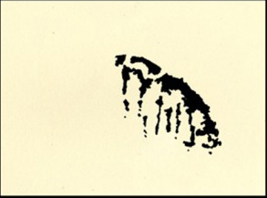 Antonia Contro