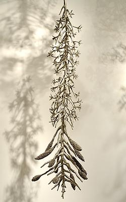 Carolyn Ottmers
Splice , 2010
cast stainless steel
installation view Image