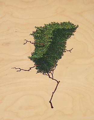David Lefkowitz
Flee, 2008
Oil on plywood
20 x 16 inches Image
