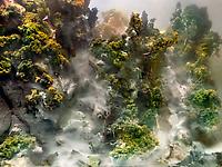 Kim Keever and David Maisel