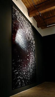 Pelagic, 2010 (Installation shot)
edition of 5
c-print printed on metallic photo paper, mounted between aluminum & 1/4 inch Plexiglas
132 x 96 inches Image