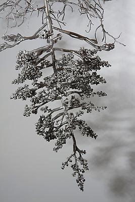 Carolyn Ottmers
Splice, #5, (detail) 2010
cast stainless steel Image