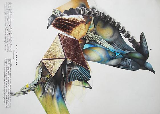 Megan Greene
Audubon Drawing Series
113, 2009
mixed media on paper
9 x 12 1/4 inches Image