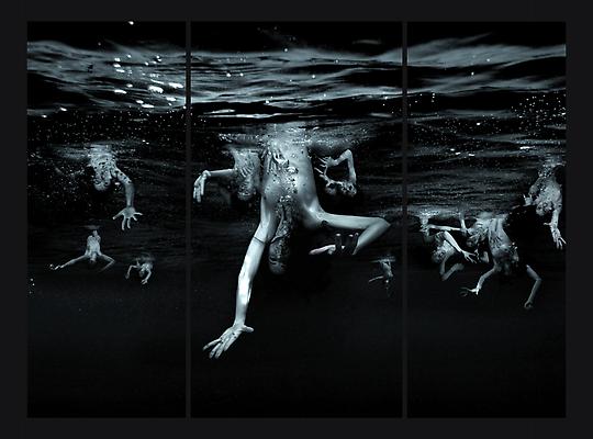 Sibille, 2010
edition of 5
c-print mounted printed on metallic photo paper, mounted between aluminum and 1/4 inch Plexiglas
90 x 120 inches Image