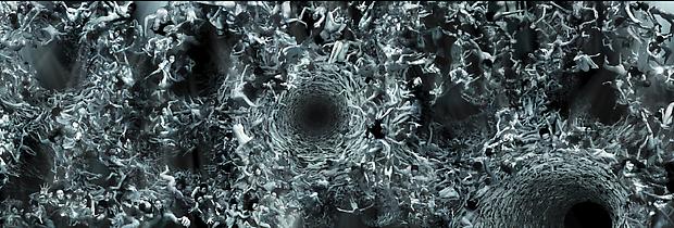 Tehom, 2010
edition of 3
c-print mounted between aluminum and Plexiglas
144 x 576 inches (22 panels) Image