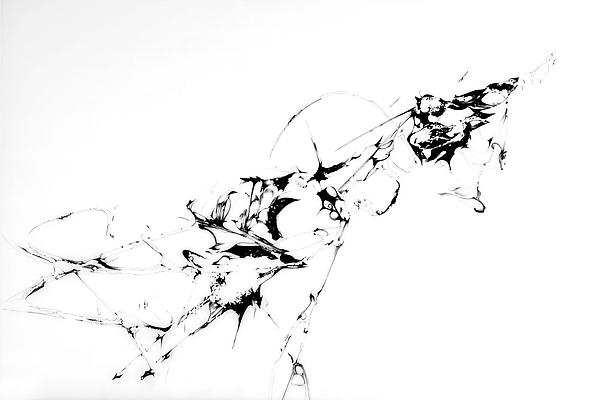Noelle Allen
Lattice and Tension (01)
2008
graphite on mylar
42"x30" Image