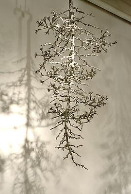 Carolyn Ottmers
Splice #3, 2010
cast stainless steel
installation view Image