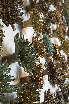 Carolyn Ottmers
Fall, (detail) 2010
cast bronze
dimensions variable Image
