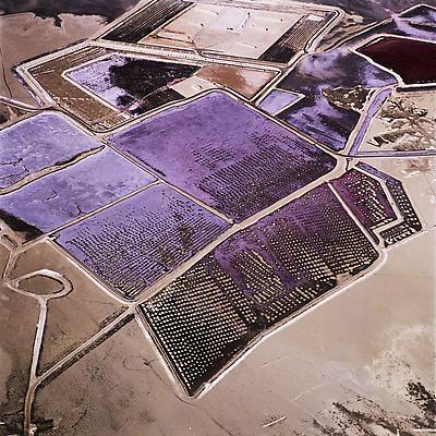 Lake Project 6, 2001
C-print
48 x 48 inches, framed
Edition one of five Image