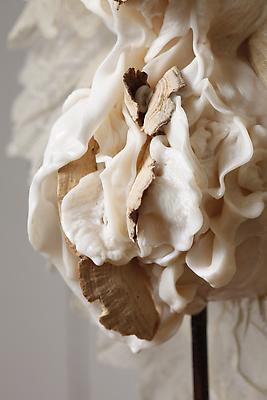 The Bride, 2012
Detail
Metal, clay, lace, mushrooms, resin and wood
65 h. x 11 x 13 inches

Photo by Maurene Cooper Image