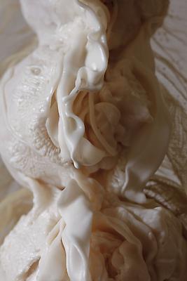 The Bride, 2012
Detail
Metal, clay, lace, mushrooms, resin and wood
65 h. x 11 x 13 inches

Photo by Maurene Cooper Image