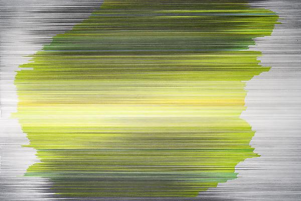 parallel 35, 2012
Detail
Graphite and colored pencil on cotton mat board
58 x 104 inches

Photo by EG Schempf Image