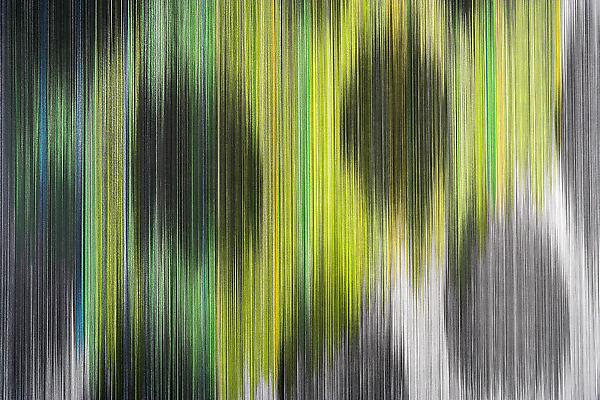 spot drawing 06, 2012
Detail
Graphite and colored pencil on cotton mat board
58 x 51 inches

Photo by EG Schempf Image