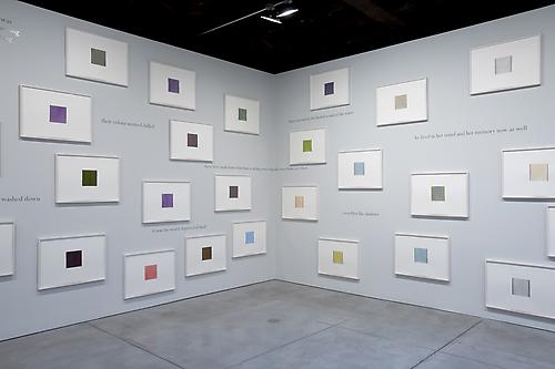 Installation view of 
callum innes | colm tóibín
water | colour
at Sean Kelly Gallery, New York