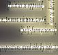 Joseph Kosuth