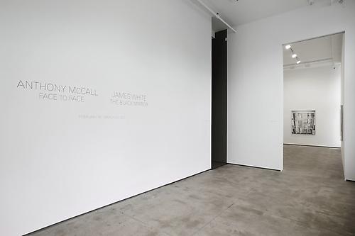 James White
The Black Mirror
February 16 - March 23, 2013
Photography: Jason Wyche, New York
