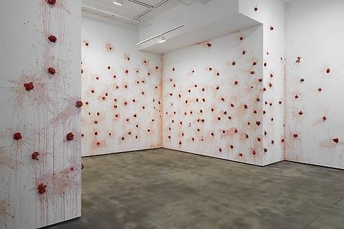 Installation view of Irreversible at Sean Kelly, New York
May 11 - June 22, 2013
Photography: Jason Wyche, New York