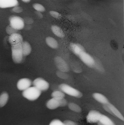 Chest, 1983 / printed 2011
gelatin silver print
image: 15 1/4 x 15 inches (38.7 x 38.1 cm)
paper: 20 x 16 inches (50.8 x 40.6 cm)
edition of 10 with 2 APs 
MAP-1203
Selected by Minnesota participant