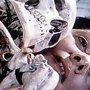 The Armory Show 2013 Thumbnail