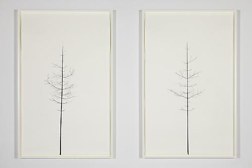 PETER LIVERSIDGE
Winter Drawing (Summer Version), 30 vs. 31
Winter Drawing (Summer Version), 29 vs. 32, 2011
paper, black masking tape (diptych)
paper: 94 1/2 x 59 3/8 inches (240 x 150.8 cm) each
framed: 98 1/4 x 63 1/8 inches (249.6 x 160.3 cm) each
signed, titled and dated by artist, verso
PLi-48a,b