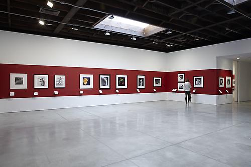 Installation view of Robert Mapplethorpe: 50 Americans
at Sean Kelly Gallery, New York
May 7 - June 18, 2011