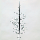 On Nature