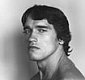 Mapplethorpe / Warhol