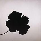 jannis kounellis