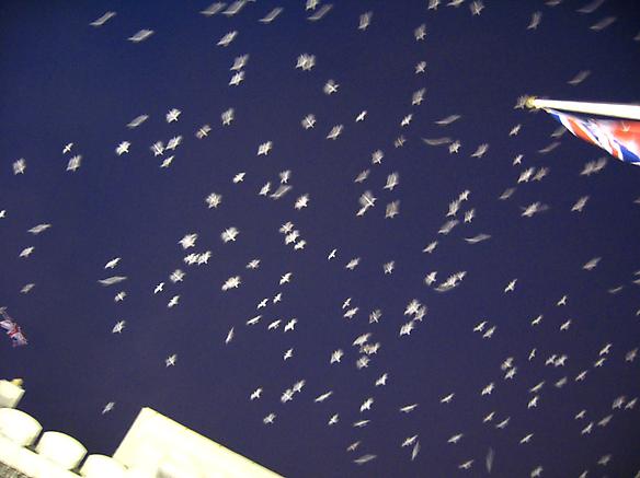 seagulls at dawn, brighton, england
2007
cibachrome print
30 x 40 inches; 76 x 102 cm
edition of 15