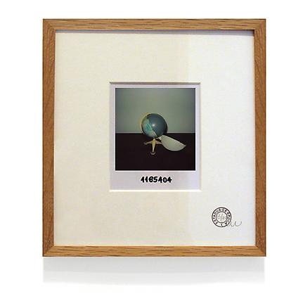 States of Things
2004
multiple photographs
20 x 21.5 cm
edition of 100