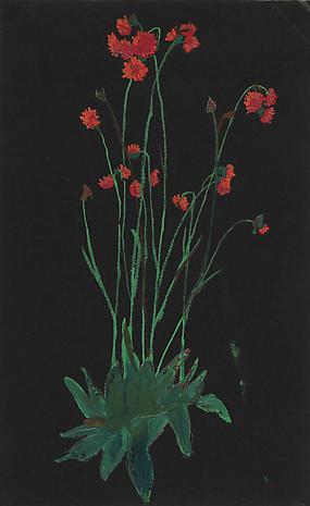 Elizabeth Bishop
Red Flowers on Black
nd
gouache and graphite on paper
9 3/4 x 6 inches