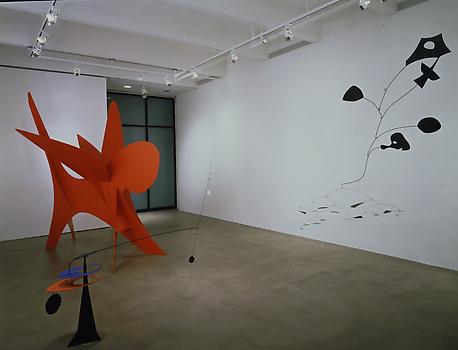 homepage image 15