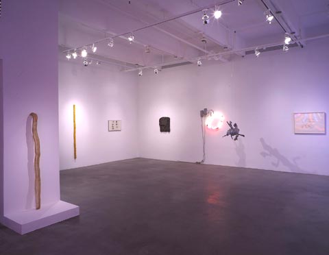 BRUCE NAUMAN 8