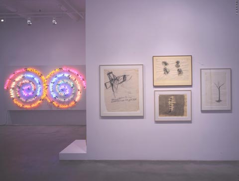 BRUCE NAUMAN 7