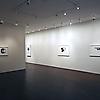 ANDY WARHOL