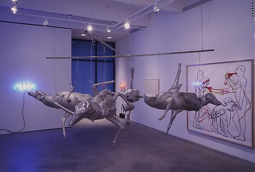 homepage image 11