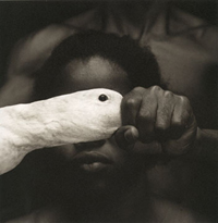PHOTOGRAPHER MARIO CRAVO NETO DIES