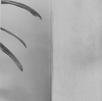 Detail Image