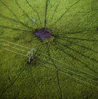 Terry Evans solo show at the Ulrich Museum of Art at Wichita State University