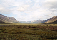 Gallery artists Exhibiting in "The Altered Landscape" at the Nevada Museum of Art