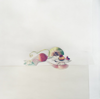 Laura Letinsky Retrospective at Denver Art Museum
