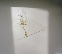 Laura Letinsky at MCA, Chicago; Smart Museum, Chicago; and SCAD Museum, Savannah